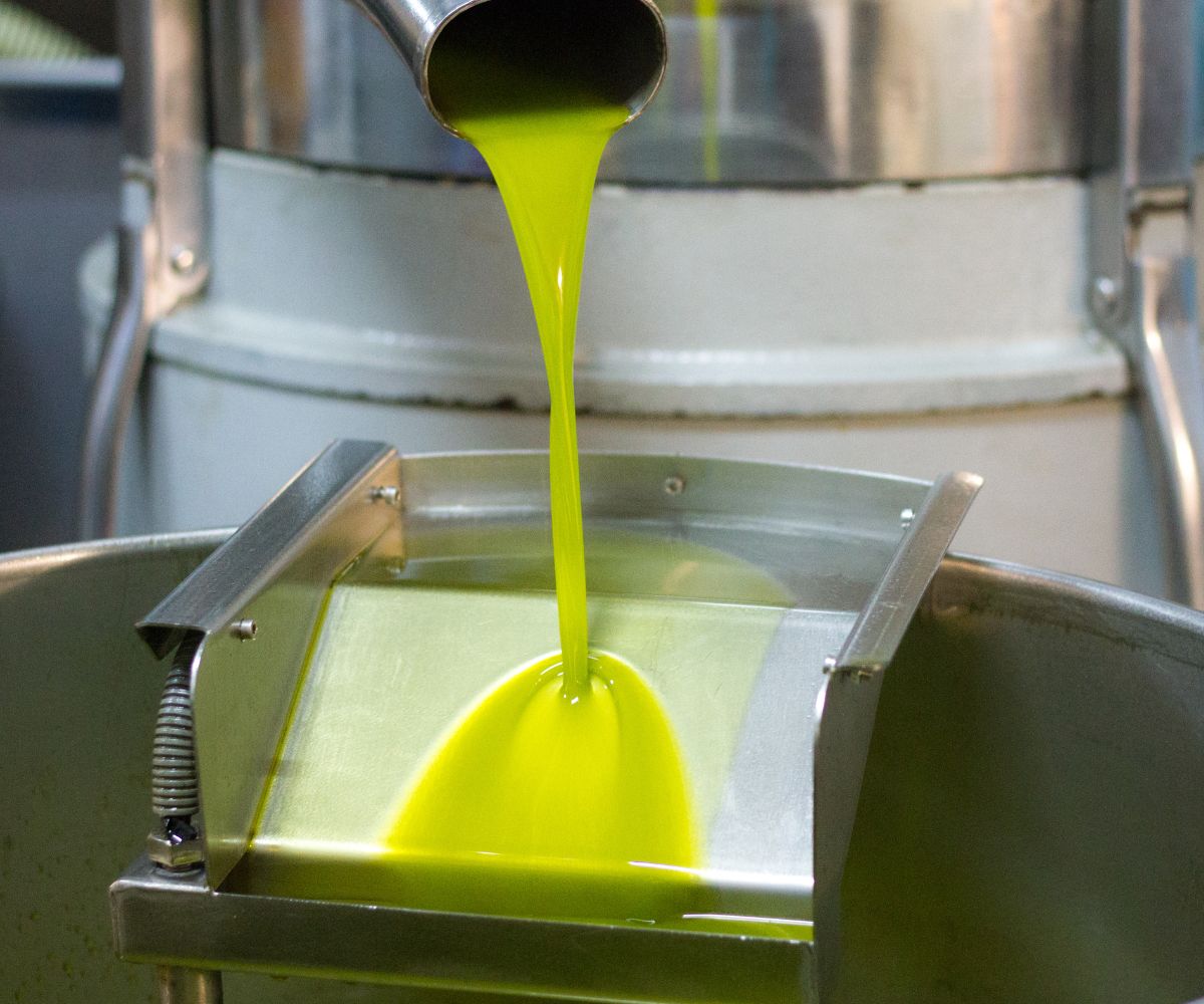 color del aceite de oliva